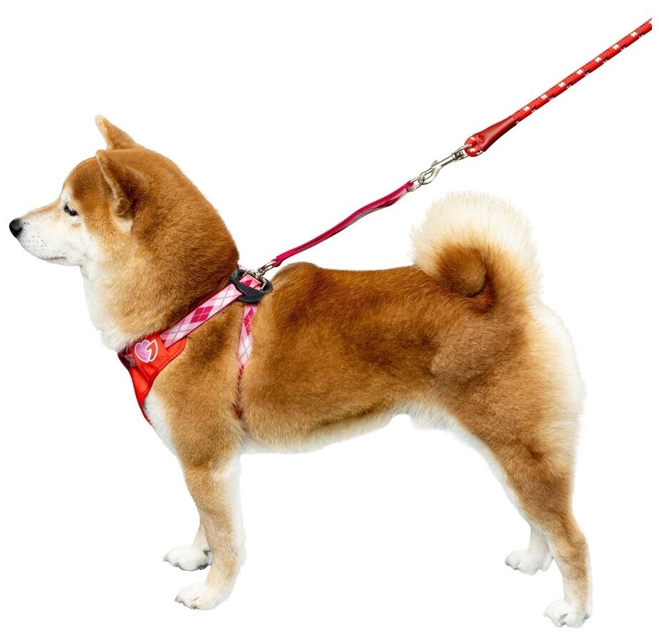 Набор Japan Premium Pet Шлейка с поводком для фиксации в автомобиле с защитной функцией сдавливания трахеи и перекручивания поводка,размер М, красный - фотография № 2