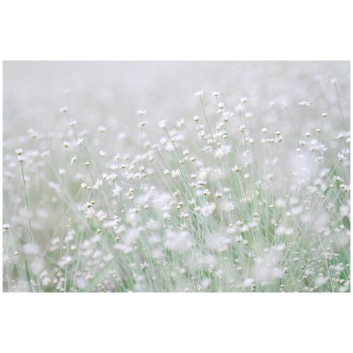 Фотообои Уютная стена 