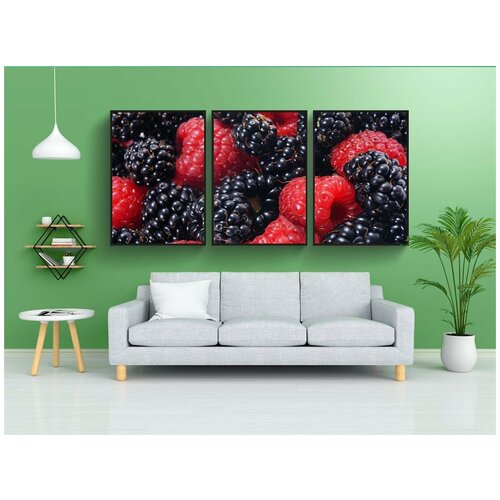 фото Набор модулных постеров для интерьера "малина и ежевика, лесные плоды, крупным планом" 60x90 см. в тубусе, без рамки lotsprints