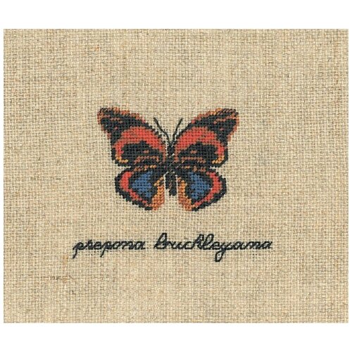Набор для вышивания: PAPILLON PREPONA BUCKLEYANA (Бабочка PREPONA BUCKLEYANA)