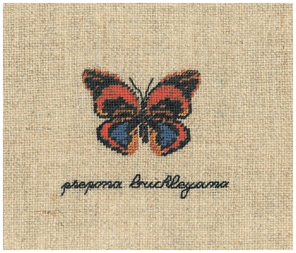 Papillon Prepona Buckleyana (Бабочка Prepona Buckleyana) #3629 Le Bonheur des Dames Набор для вышивания 4.5 х 6 см Счетный крест