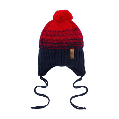 фото Шапка для мальчика а.00-0017836, цвет красный, размер 47-50 см нет бренда