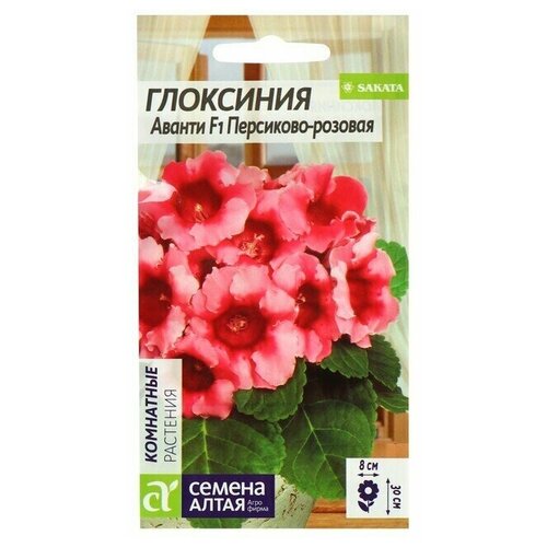 Семена комнатных цветов Глоксиния 'Аванти' Персиково-розовая F1, Мн, цп, 8 шт.