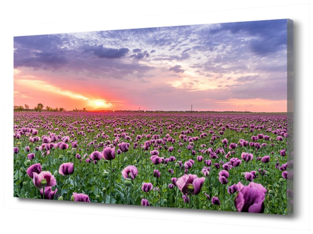 Картина на холсте "Цветочное поле" PRC-903 (45x30см). Натуральный холст