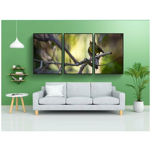 фото Набор модулных постеров для интерьера "коричневый вылетом нектарница, птица, животное" 60x90 см. в тубусе, без рамки lotsprints