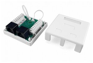 Розетка компьютерная Hyperline RJ-45 (8P8C) SB1-2-8P8C-C5e-WH , категория 5e, двойная, внешняя, Dual IDC