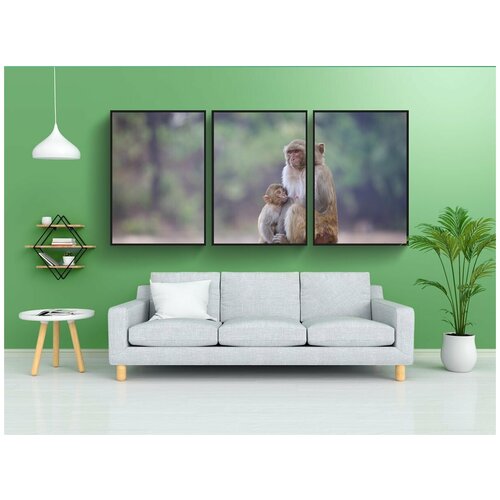 фото Набор модулных постеров для интерьера "обезьяна, животное, горилла" 60x90 см. в тубусе, без рамки lotsprints
