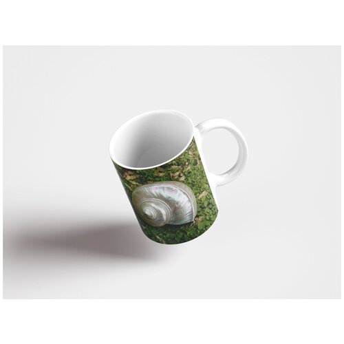 фото Кружка "огненная жемчужина, устрицы, глубоководный наутилус 320 мл. белая lotsprints