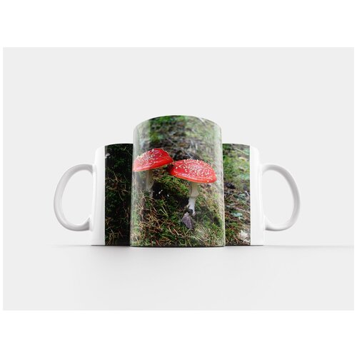 фото Кружка "красный мухомор, гриб, германии в самых живописных купания" 320 мл lotsprints