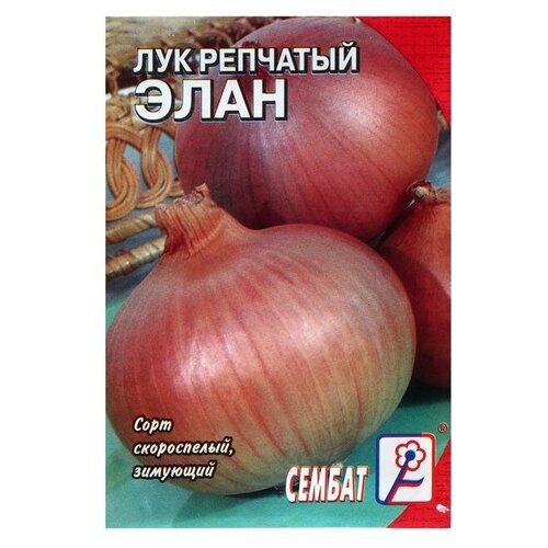 Семена Лук репчатый "Элан", 0,2 г (6 шт)