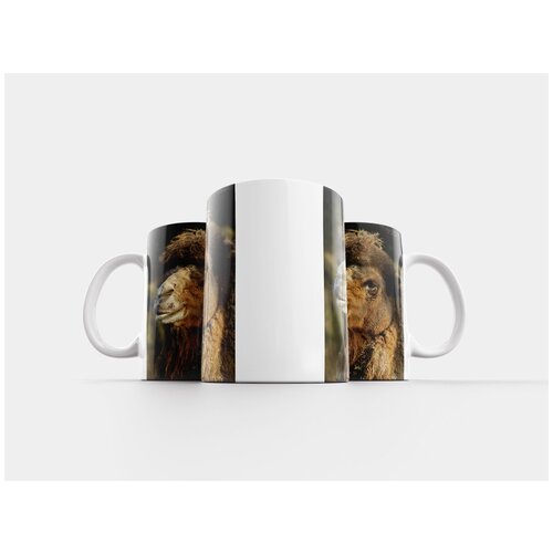 фото Кружка "верблюд, верблюды, корабль пустыни" 320 мл lotsprints