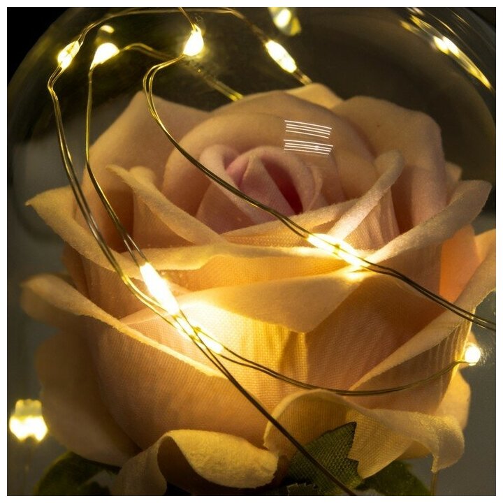 Ночник "Розовая роза" LED 3AAA 8х8х17 см - фотография № 3