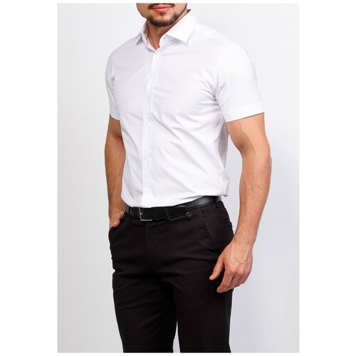 фото Рубашка мужская короткий рукав greg 100/108/lv stretch, приталенный силуэт / slim fit, цвет белый, рост 174-184, размер ворота 44