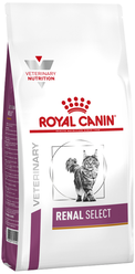 Лучшие Корма для кошек Royal Canin Renal