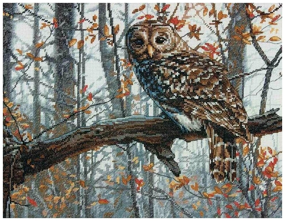 35311-70-DMS Wise Owl Dimensions - фото №1