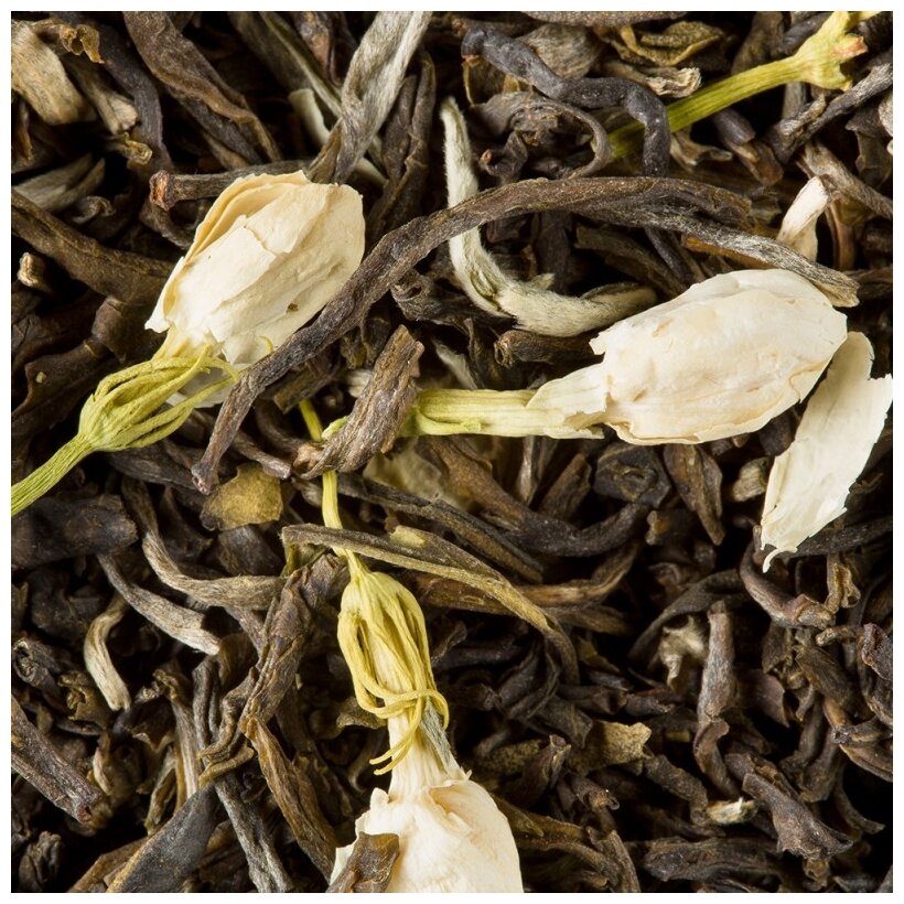 Чай зеленый ароматизированный "Дамман" в шелковых пакетах T.Vert Jasmin/ Зеленый с жасмином, коробка 25 штук - фотография № 6