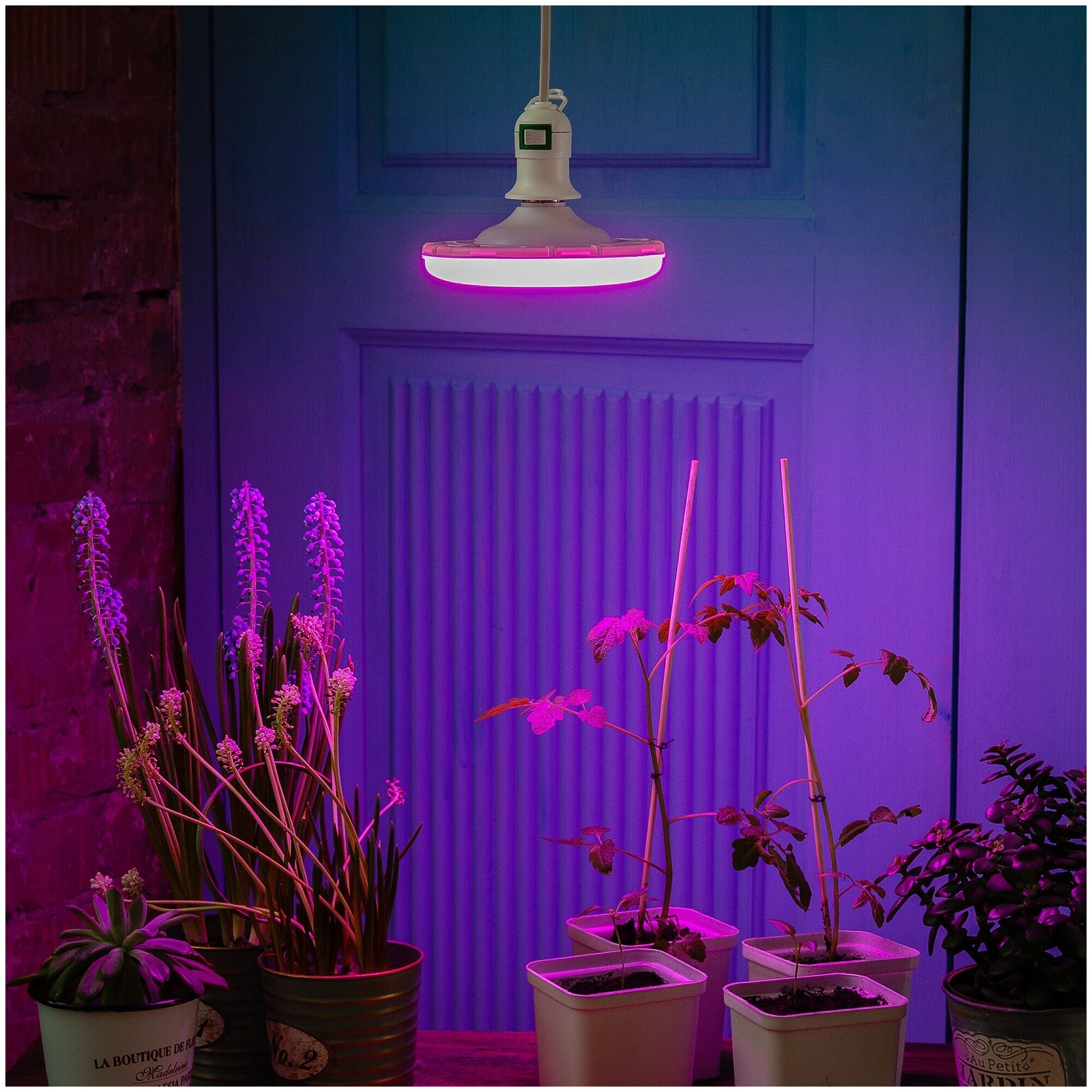 Фито лампа Uniel светодиодная для растений рассады цветов UFO E27 16W 18мкм/с, матовая/пластик 150x78 LED-U150-16W/SPSB/E27/FR - фотография № 2