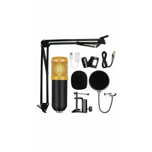 Профессиональный микрофон BM 800 с POP-фильтром Condenser Microphone для компьютера золотой TS - Store 250000₽