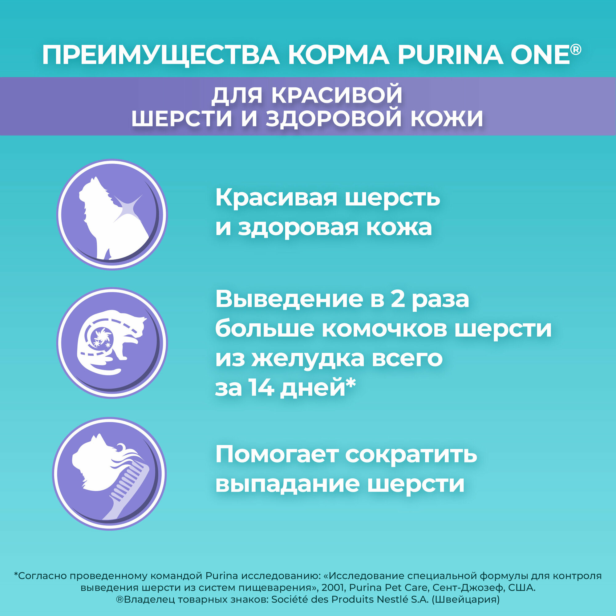 Сухой корм PURINA ONE® для взрослых кошек для красивой шерсти и здоровой кожи с курицей, 750 г — фото 1