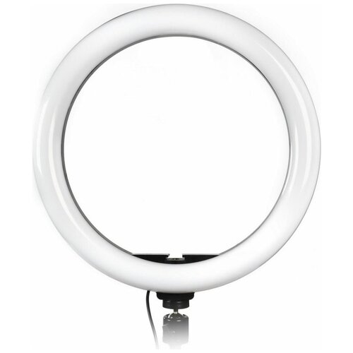 Кольцевая светодиодная лампа SmartBuy 26 см с держателем для телефона для фотовидео съемки без штатива 167000₽