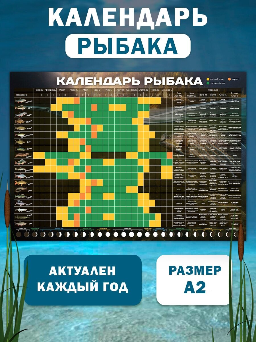 Лунный календарь рыбака недатированный / Подарок мужчине для рыбалки