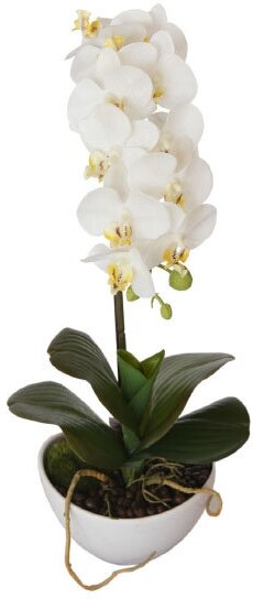 29BJ-170-06 Орхидея белая в горшке h46см, шт