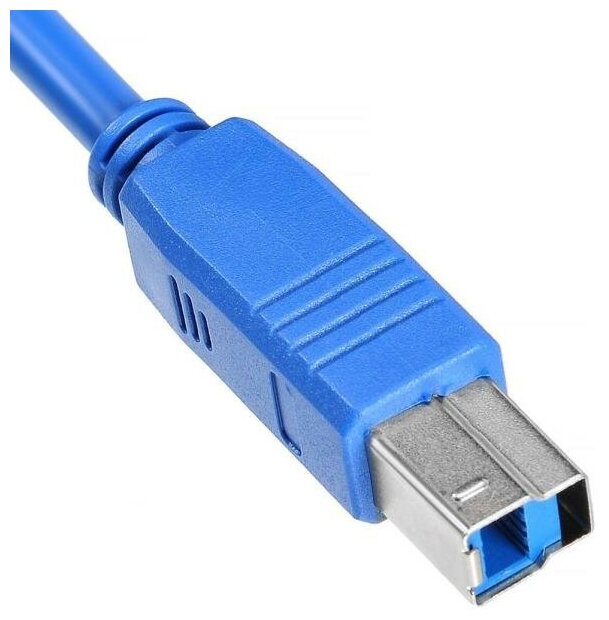 Кабель Buro USB 3.0 (AM-BM) 1.8м, Синий USB3.0-AM/BM - фото №5