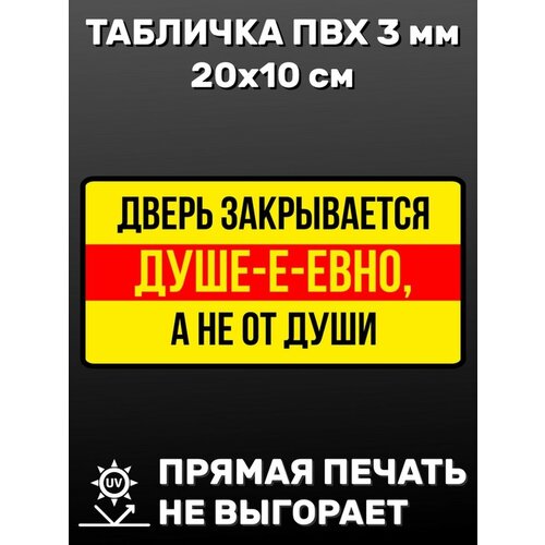 Табличка информационная Дверь закрывается 20х10 см