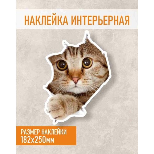 Наклейка с Котом на холодильник