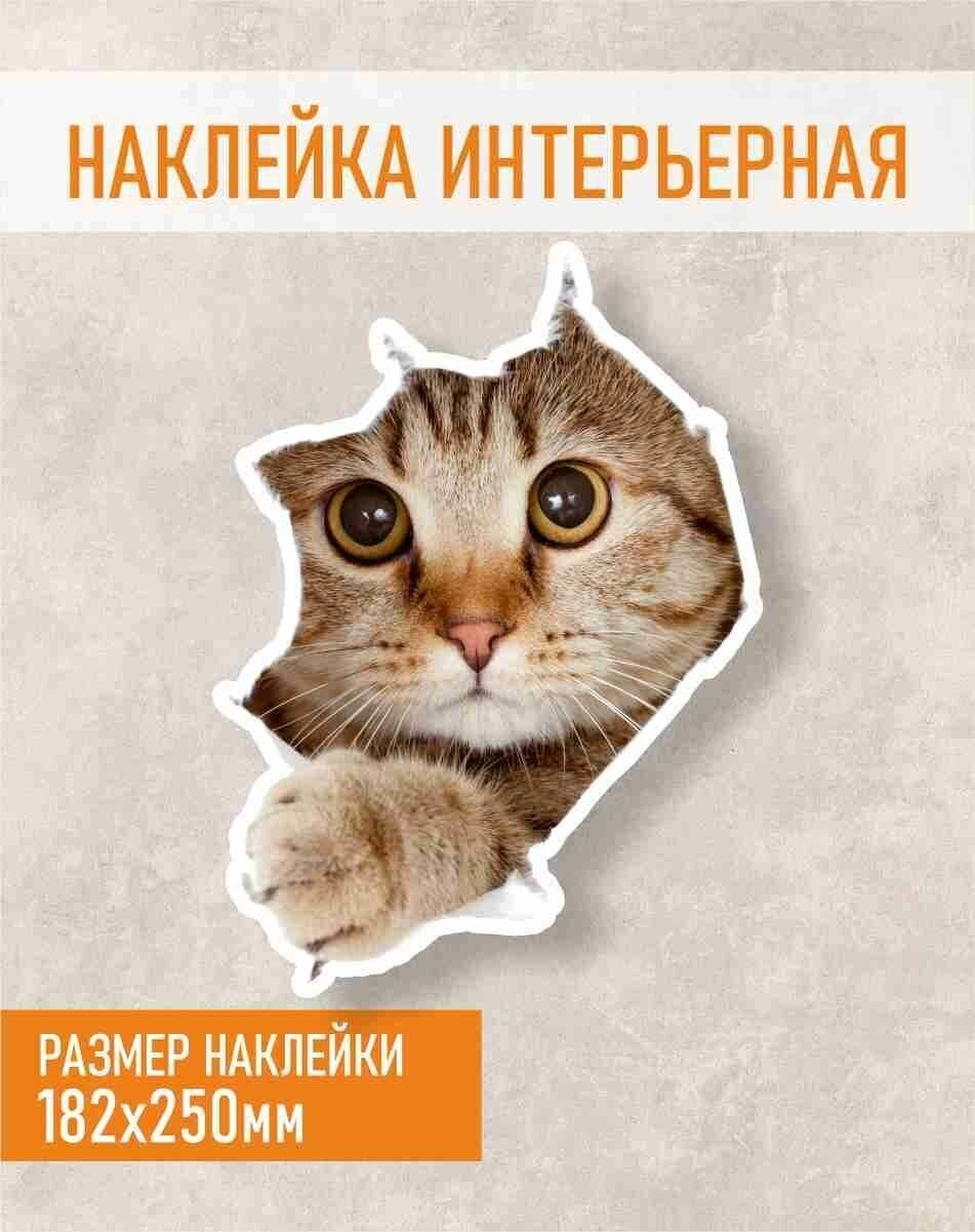 Наклейка с Котом на холодильник