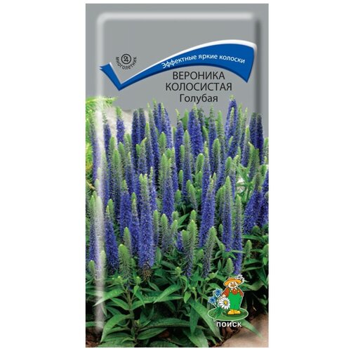 Вероника колосистая голубая (0,1 г), 2 пакета