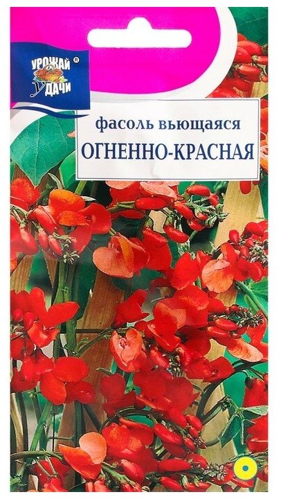 Семена цветов Фасоль Вьющаяся огненно-красная 5 г 2 шт