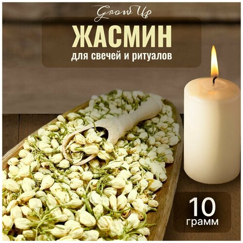 Сухая трава Жасмин (бутоны) для свечей и ритуалов, 10 гр