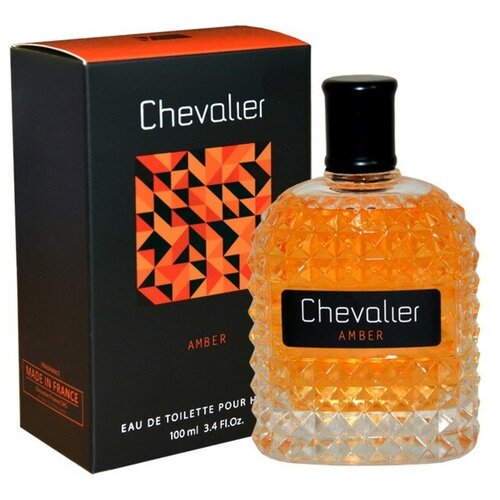 Туалетная вода мужская Chevalier Amber, 100 мл delta parfum туалетная вода мужская chevalier amber