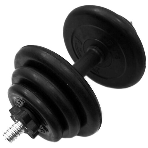 Гантель разборная Антат 19 кг