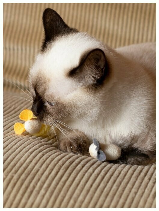 Игрушка для кошек Japan Premium Pet "Кувыркающиеся мышки" из натурального кокона шелкопряда, 2 шт - фотография № 6
