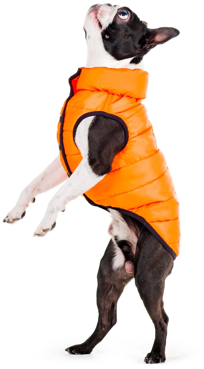 Куртка для собак Collar AiryVest ONE оранжевая (L55) - фотография № 4