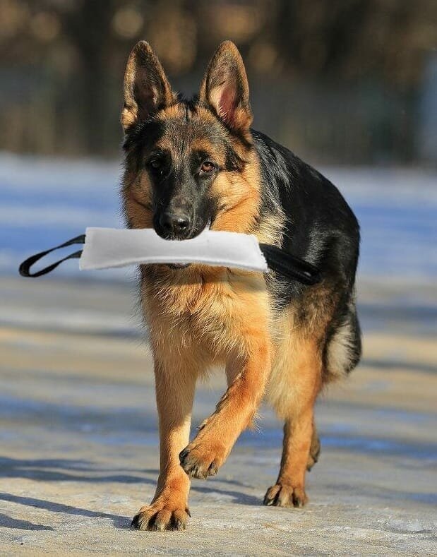 Игрушка-кусалка для собак OSSO Fashion, с двумя ручками, длина 30 см (белый,чёрный) - фотография № 3