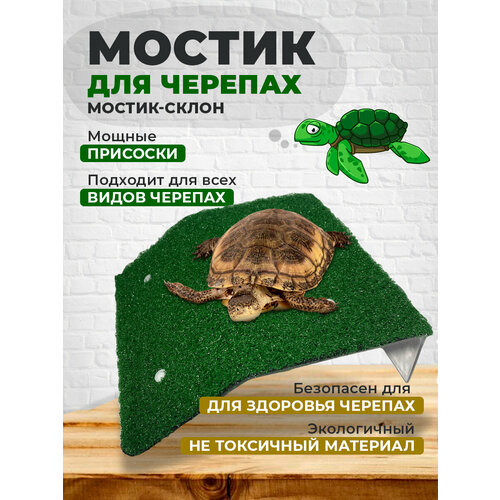 Мостик для черепах на присосках 120x200 мм+100 мм склон