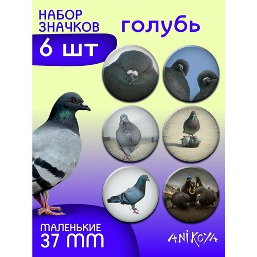 Комплект значков AniKoya, 6 шт., голубой