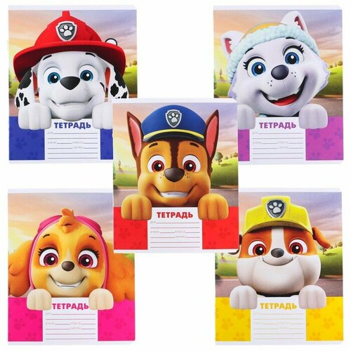 Тетрадь 12 листов, 5 видов микс, линейка, Paw Patrol, 10 штук