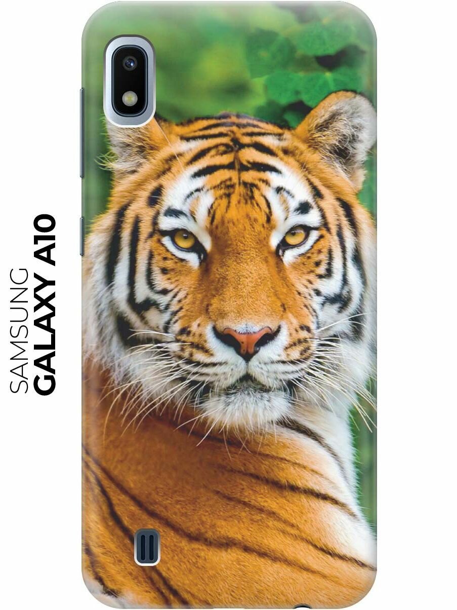 Чехол - накладка ArtColor для Samsung Galaxy A10 с принтом "Портрет тигра"