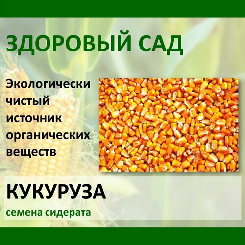 Семена сидерат Кукуруза на початок здоровый САД, 0,4 кг х 15 шт (6 кг)