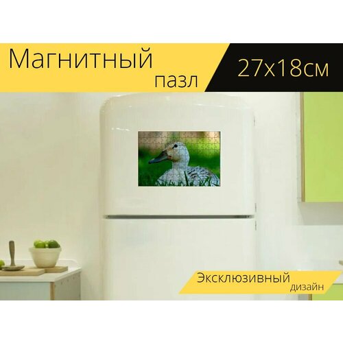 Магнитный пазл Утка, белый, животное на холодильник 27 x 18 см. магнитный пазл утка вода животное на холодильник 27 x 18 см