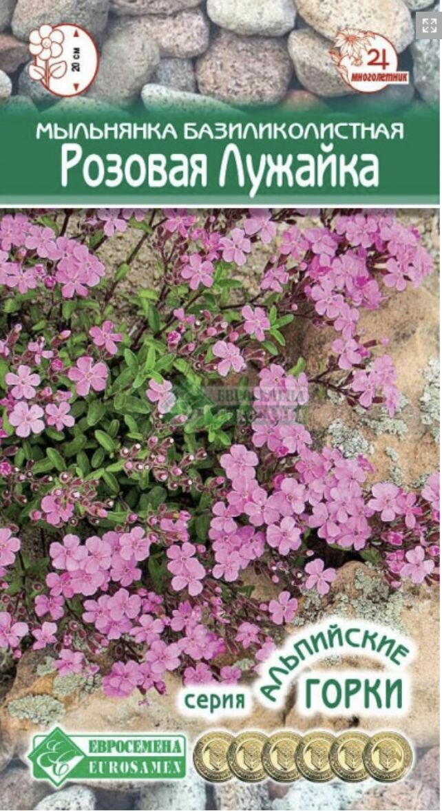 Мыльнянка базиликолистная розовая лужайка 1 пакет семена 01 гр Евросемена