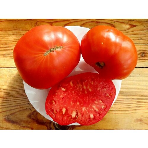 Коллекционные семена томата Крупный из Хакасии