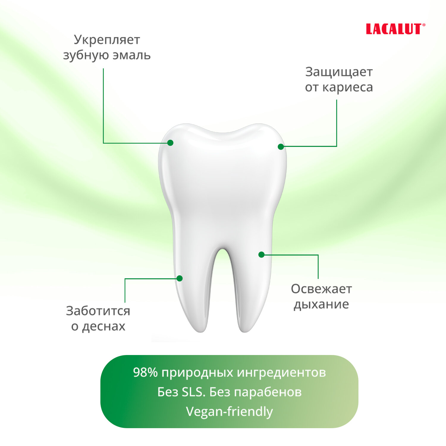 Lacalut pure herbal зубная паста, 75 мл