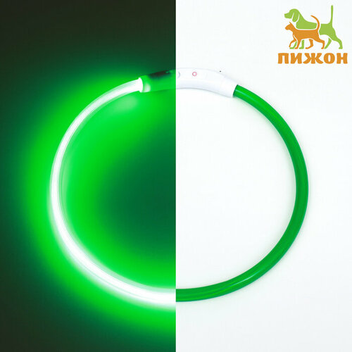Ошейник - кольцо с подсветкой, зарядка от USB, до 70 см, 3 режима свечения, зелёный ошейник кольцо с подсветкой зарядка от usb до 70 см 3 режима свечения голубой