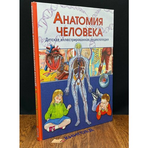 Анатомия человека. Детская иллюстрированная энциклопедия 2015