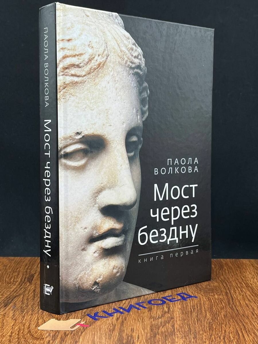 Волкова Мост через бездну (Волкова Паола Дмитриевна) - фото №3